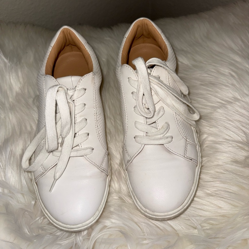 Steve Madden Toliver White lace up Sneakers